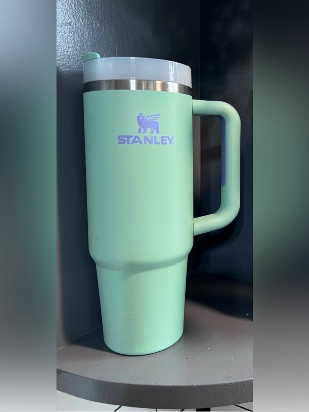 Stanley Mint Green tumbler
